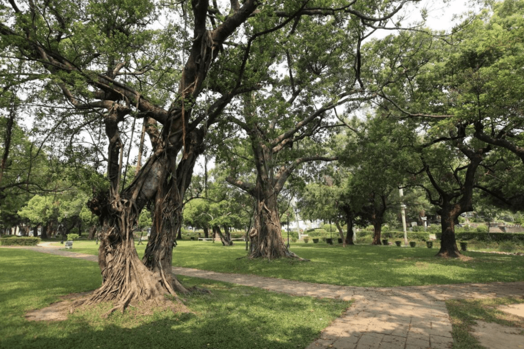 建商高價收購公園用地行情